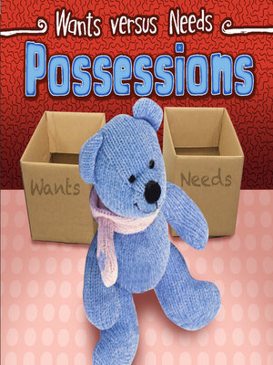 cover image of Possessions